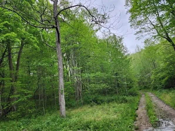 0 Beech Fork Rd, Otway, OH 45657
