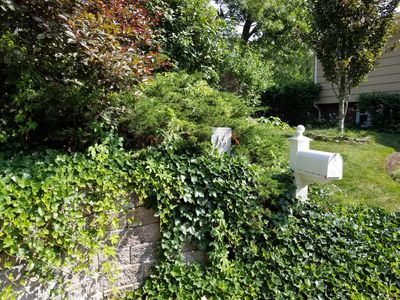 21 Mason St, Dedham, MA, 02026