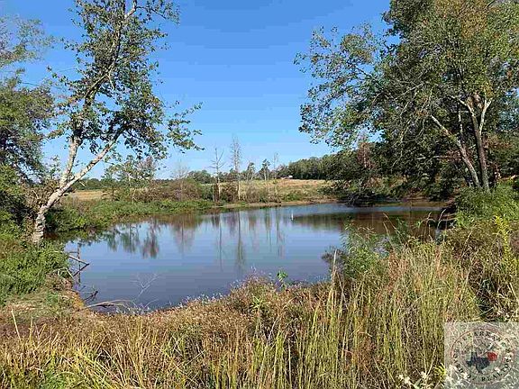 5th image of TBD Hwy 59 And Cr 1754