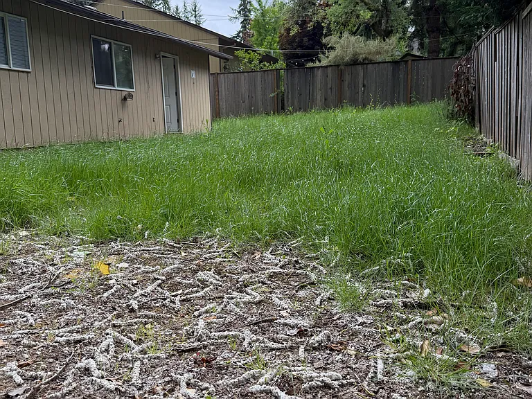 11407 SW 35th Ave — Photo 46