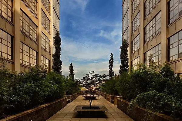 Sold by Stribling | media 17