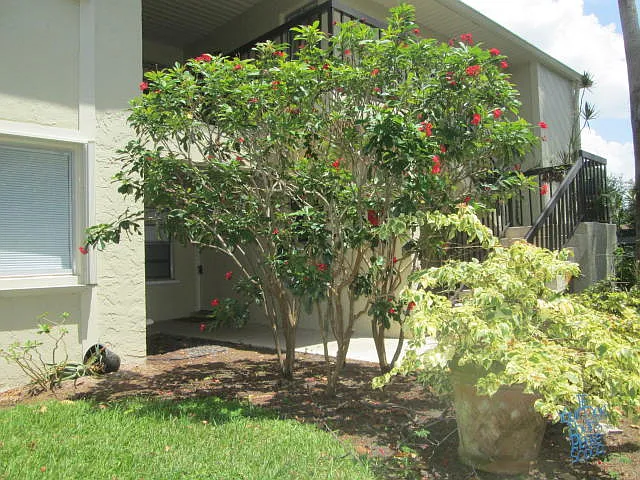 6508 Chasewood Dr #C — Photo 23
