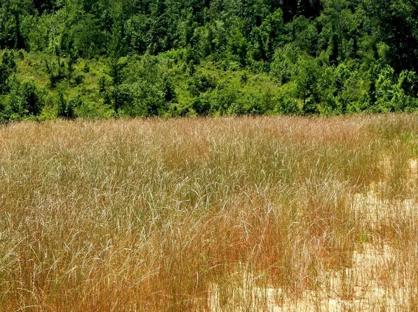 104 Hugh White State Park Rd #4, Grenada, MS 38901