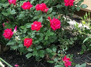 1911 W Georgia Rd, Woodruff, SC 29388