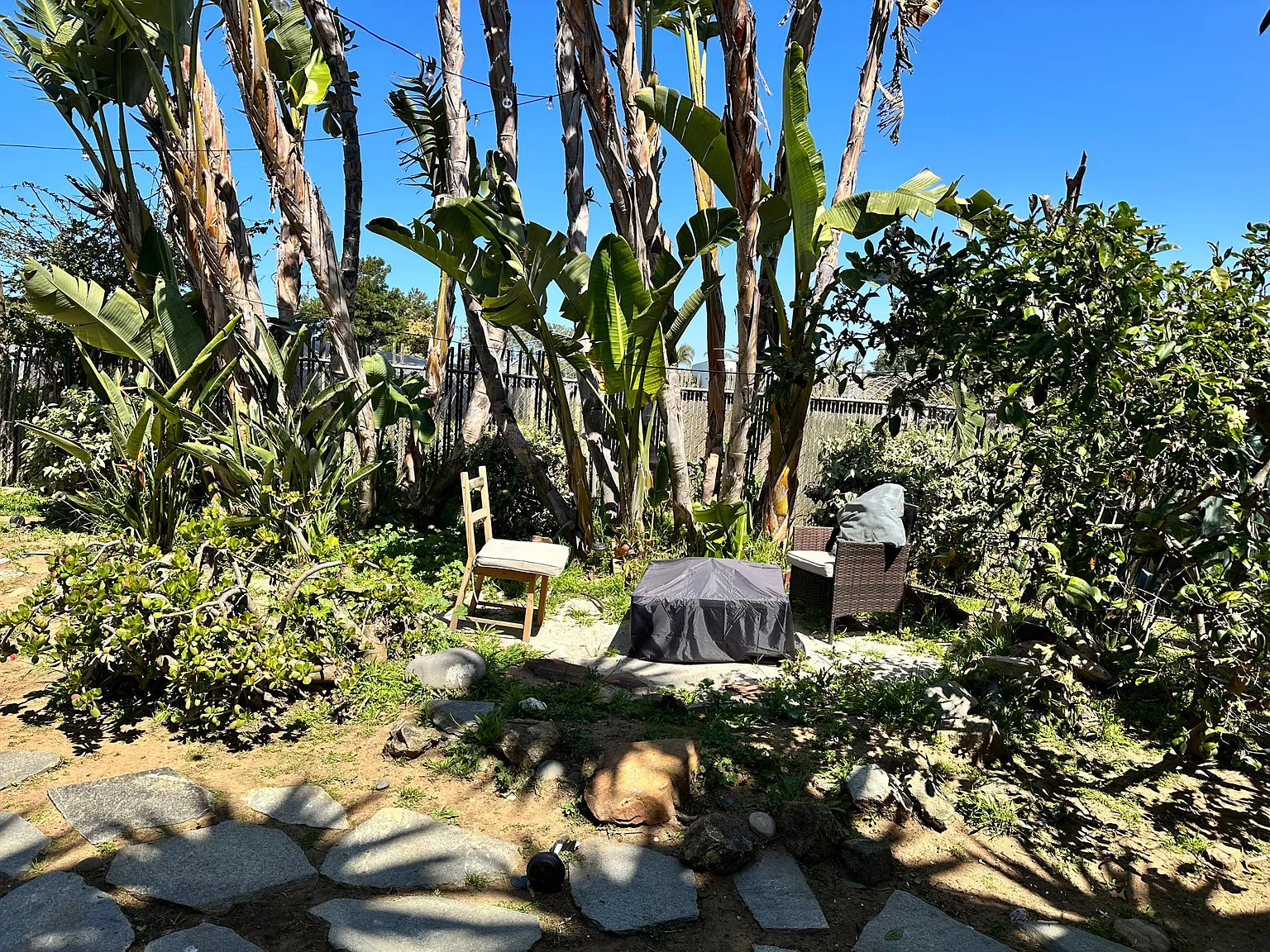 1 bed, 650 sqft, $4,500 — Photo 2
