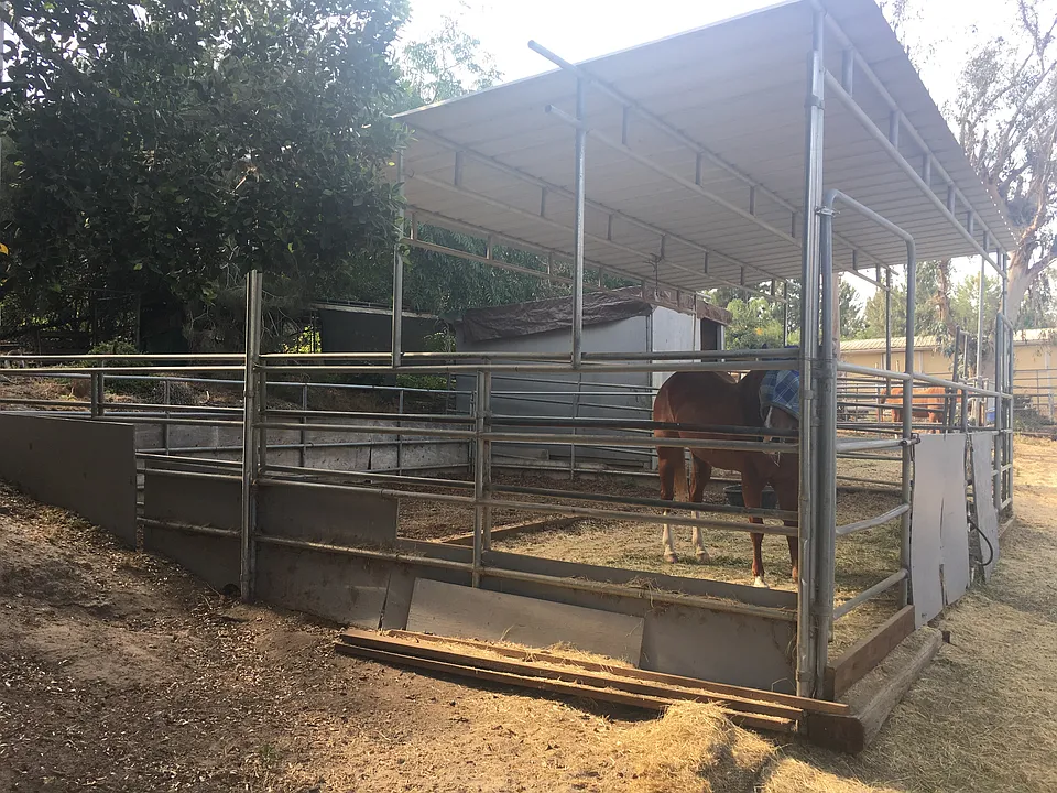 Horse area