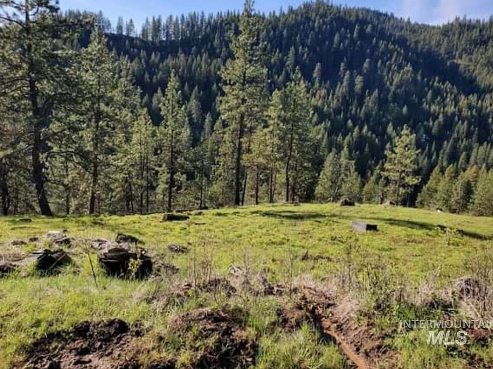 Hillman Basin Rd, New Meadows, ID 83654 MLS 98862683 Zillow
