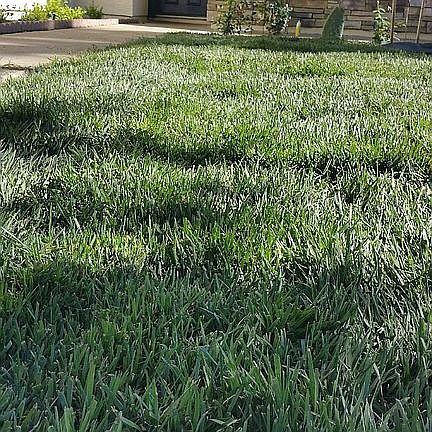 3rd image of 18 Milpitas Cir
