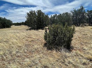 29 County Road 8069, Concho, AZ 85924