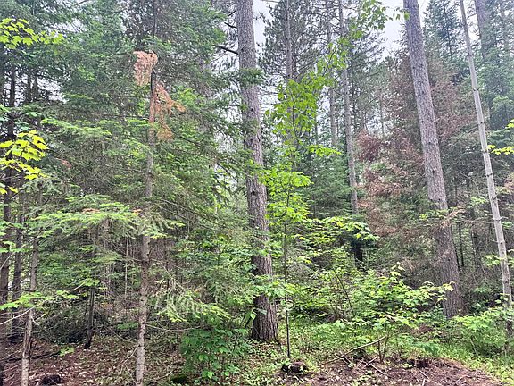 5th image of 0 Pine Lake Rd #268 Acres