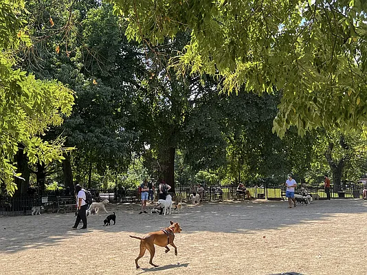 Rented by Dallien Realty Limited Liability Company | media 31