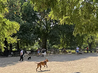 Rented by Dallien Realty Limited Liability Company