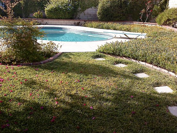 Beautifully shaped swimming pool