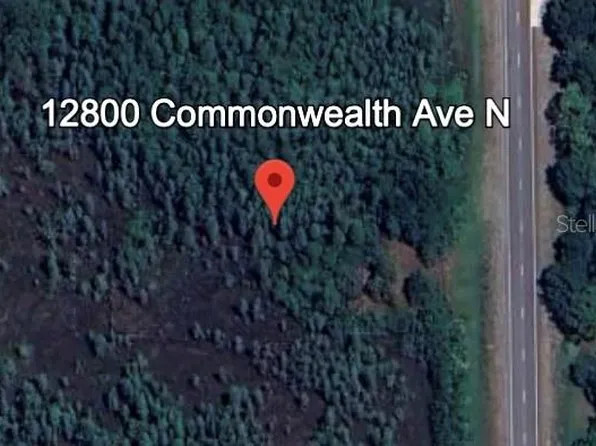 12800 COMMONWEALTH AVENUE N, POLK CITY, FL 33868