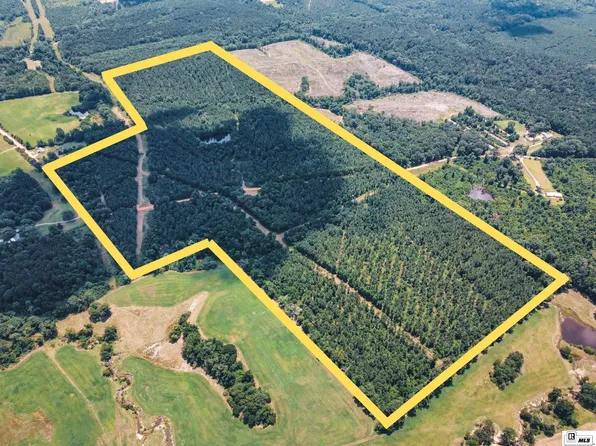 000 Bobbie Cox Rd, Downsville, LA 71234