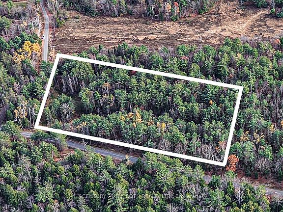 5th image of 1036 Hopkins Rd