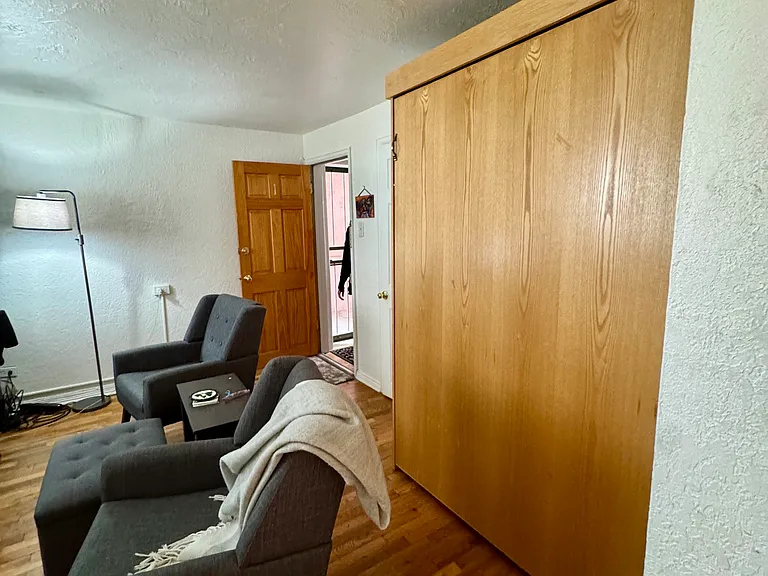 Living room with Murphy bed enclosed