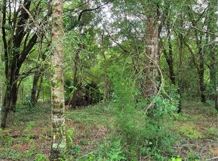 00 N St. Benedict Dr, Dunnellon, FL 34432
