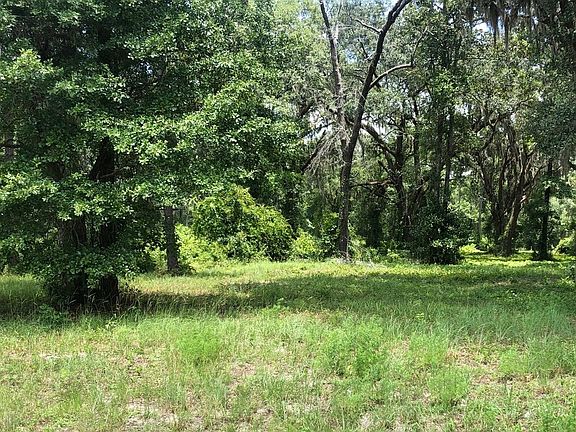 2nd image of 237 NW Timucua Dr