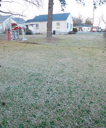 3rd image of 1231 Carolina St