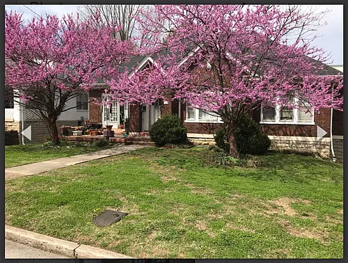 3104c Belwood, Nashville TN 37203 Photo 1