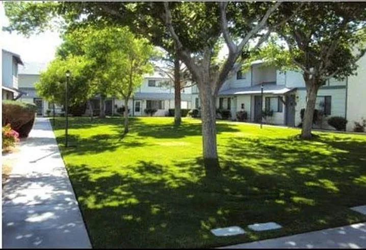Community Area
