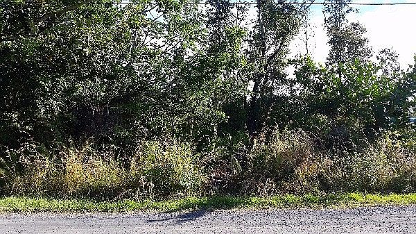 2nd image of Beach Rd