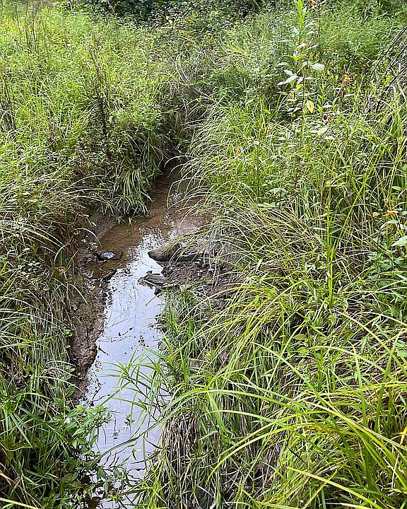 0 Big Creek Rd, Walton, WV 25286 Zillow