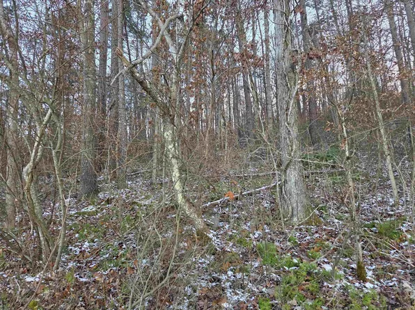 D St, Louisa, KY 41230