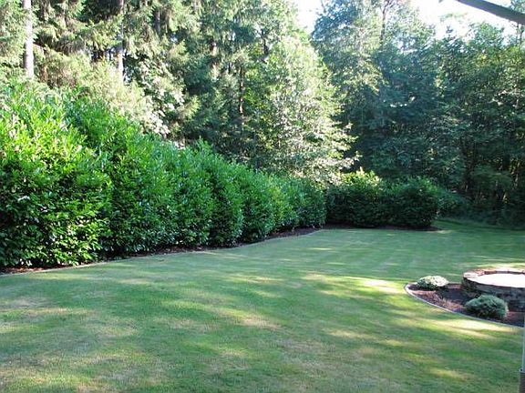 Large, irrigated lawn