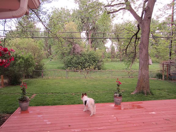 Back yard, deck and Park