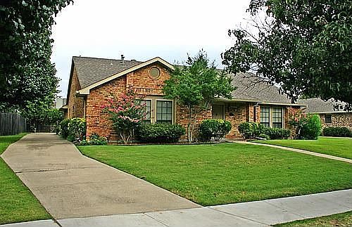 Front Yard