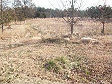 2nd image of 943 Hemphill Rd
