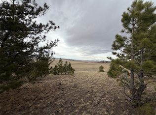 990 Coyotero Trl, Hartsel, CO 80449