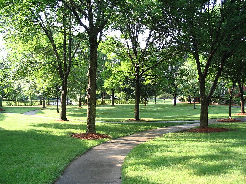 COURTYARD WALKING PATHS