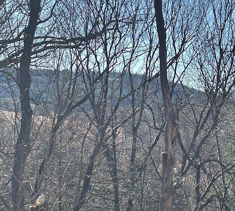 5th image of 0 Rampike Hill Rd