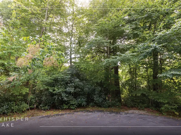 231R Pine Forest Court, Sapphire, NC 28774