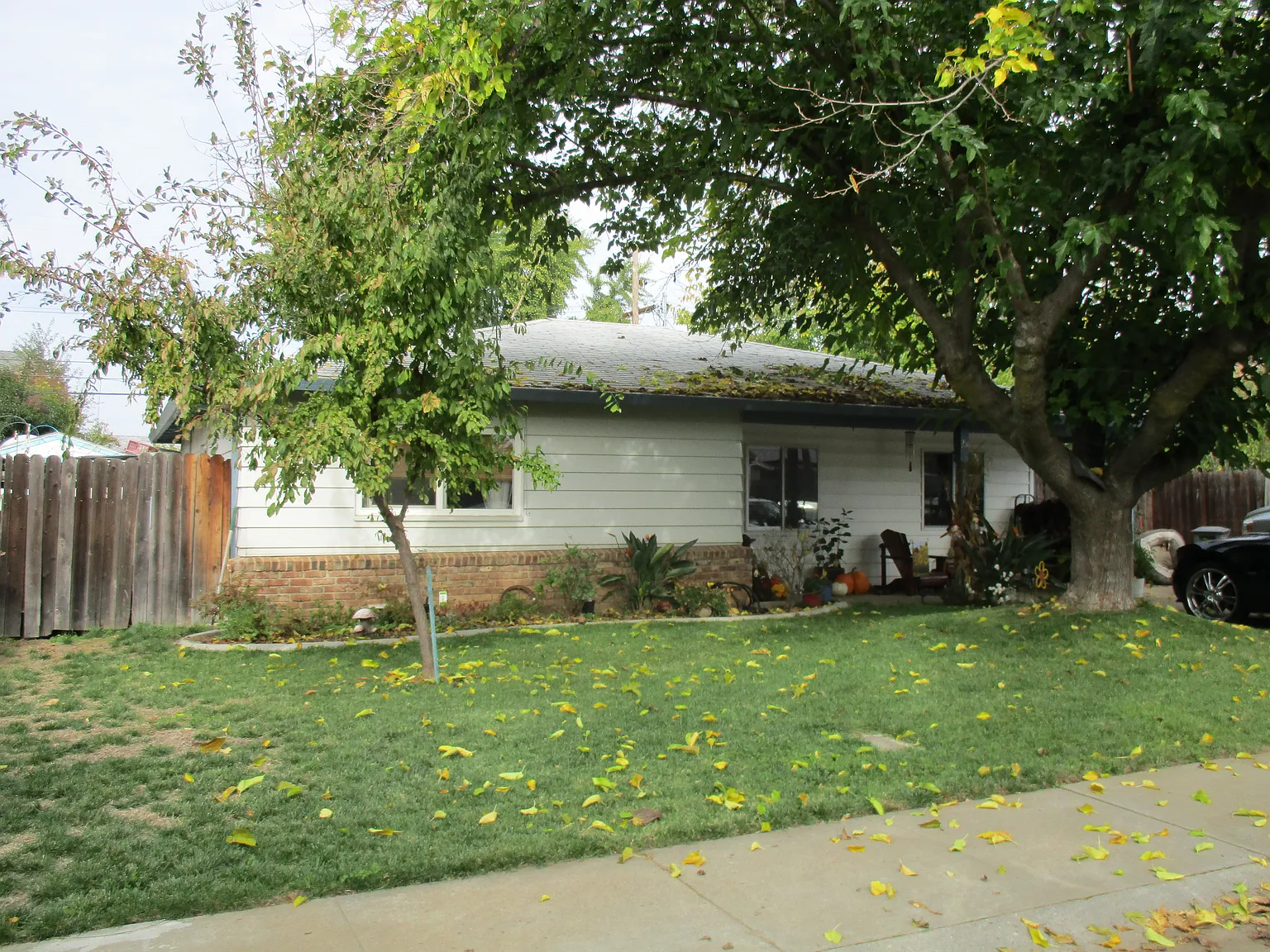 211 Olive St photo 1