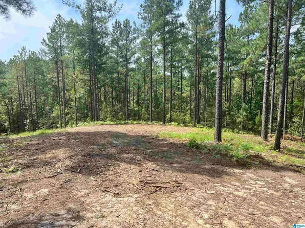 680 Sweet Apple Rd Tract 3, Pell City, AL 35128