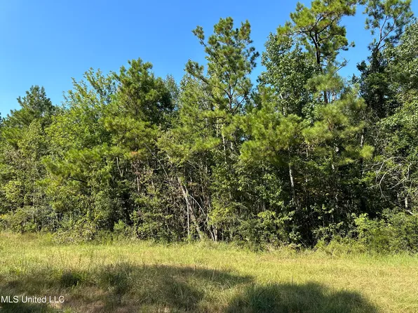 92.4 Acres Xrds, Lucedale, MS 39452