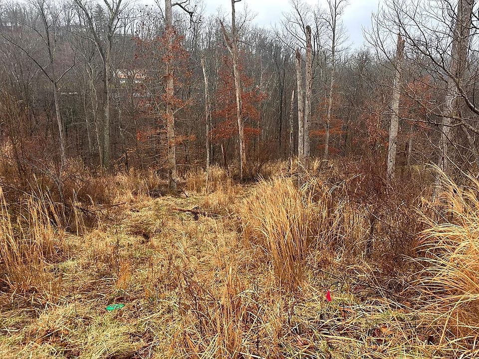 1st image of 9 Joplin Pl