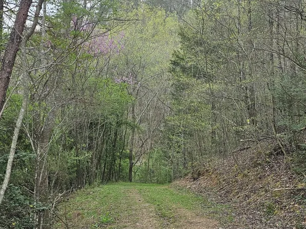 337 Price Rd, Reliance, TN 37369