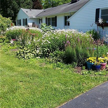 5th image of 8473 Tulip Ln