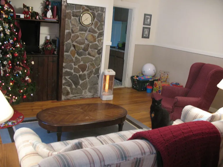 46 Cedar St #1 — Photo 4