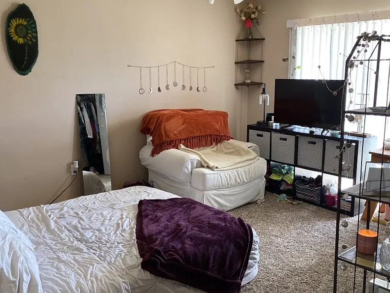 1805 Pointed Leaf Ln — Photo 5