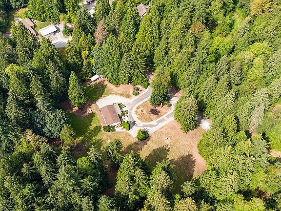 Private Forest Setting