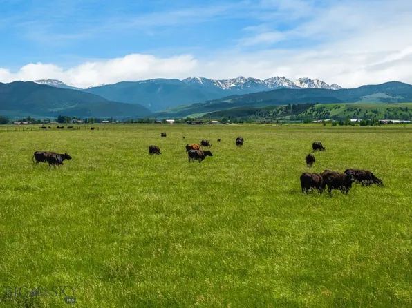 Nhn Cottontail Rd, Bozeman, MT 59718