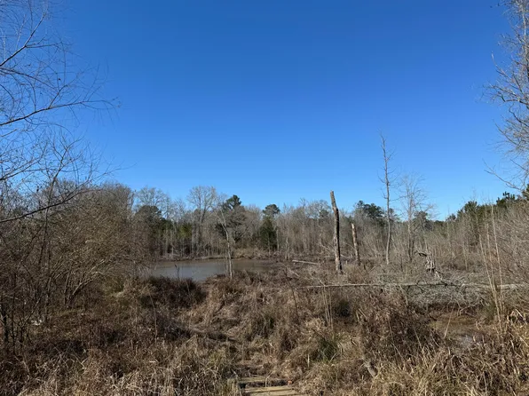 0 E Minnie Vaughn Rd, Columbus, MS 39702