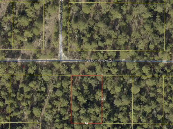 0 W Yellow Poplar Ave, Defuniak Springs, FL 32433
