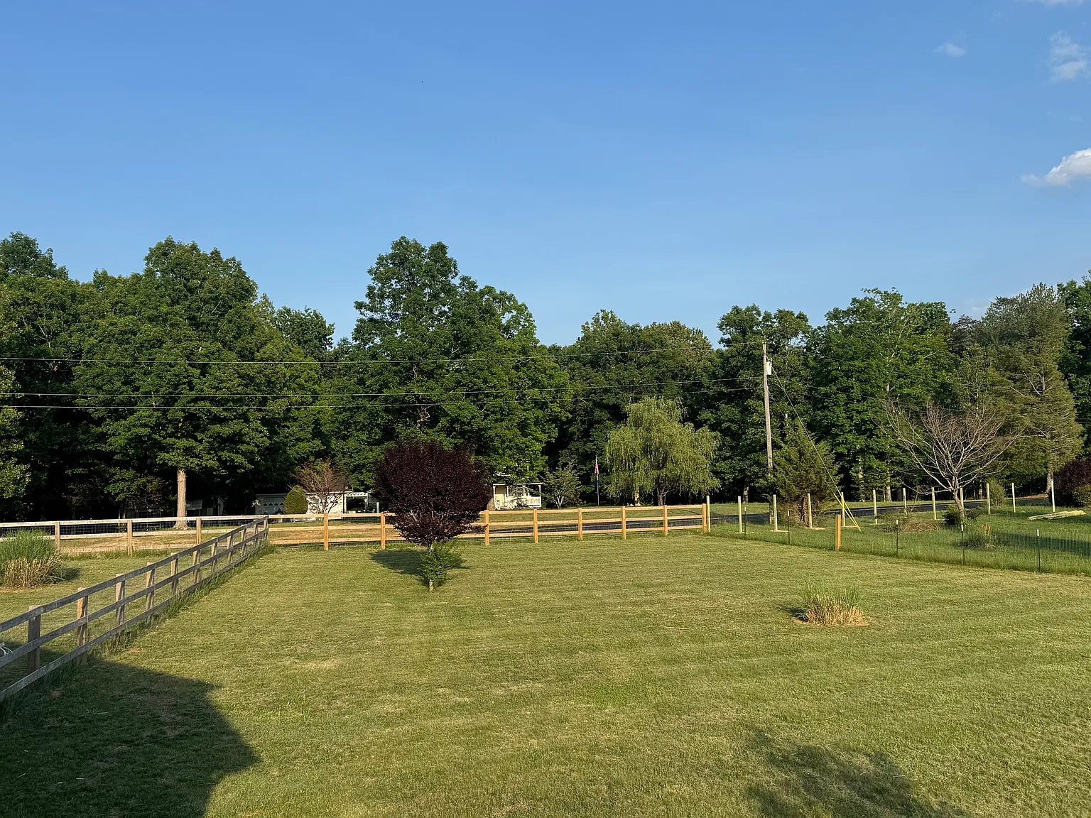 5 bed, 3753 sqft, $4,500 — Photo 3